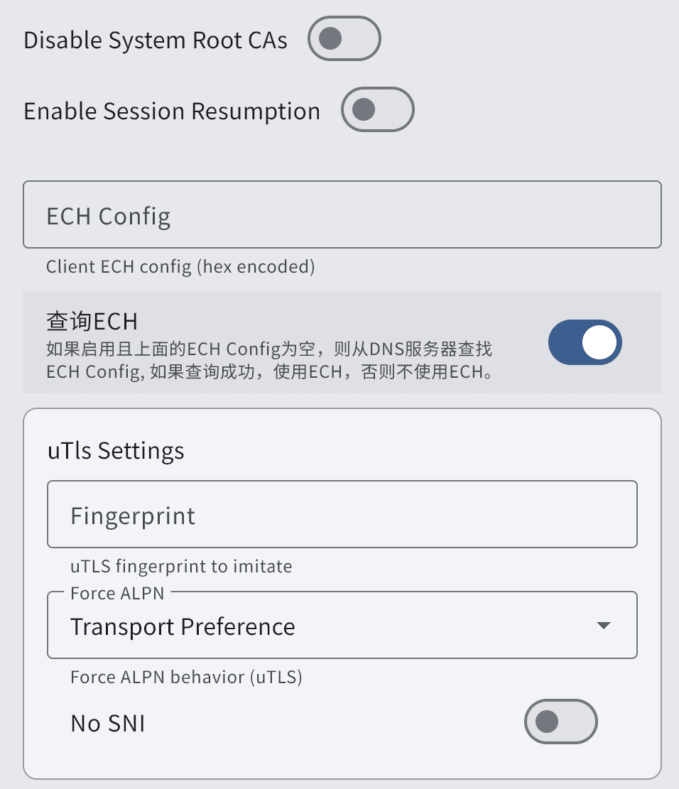 启用查询 ECH