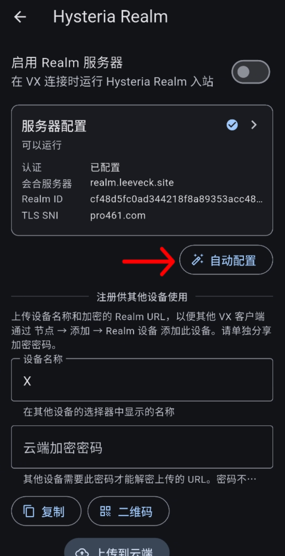 自动配置 Realm 服务器