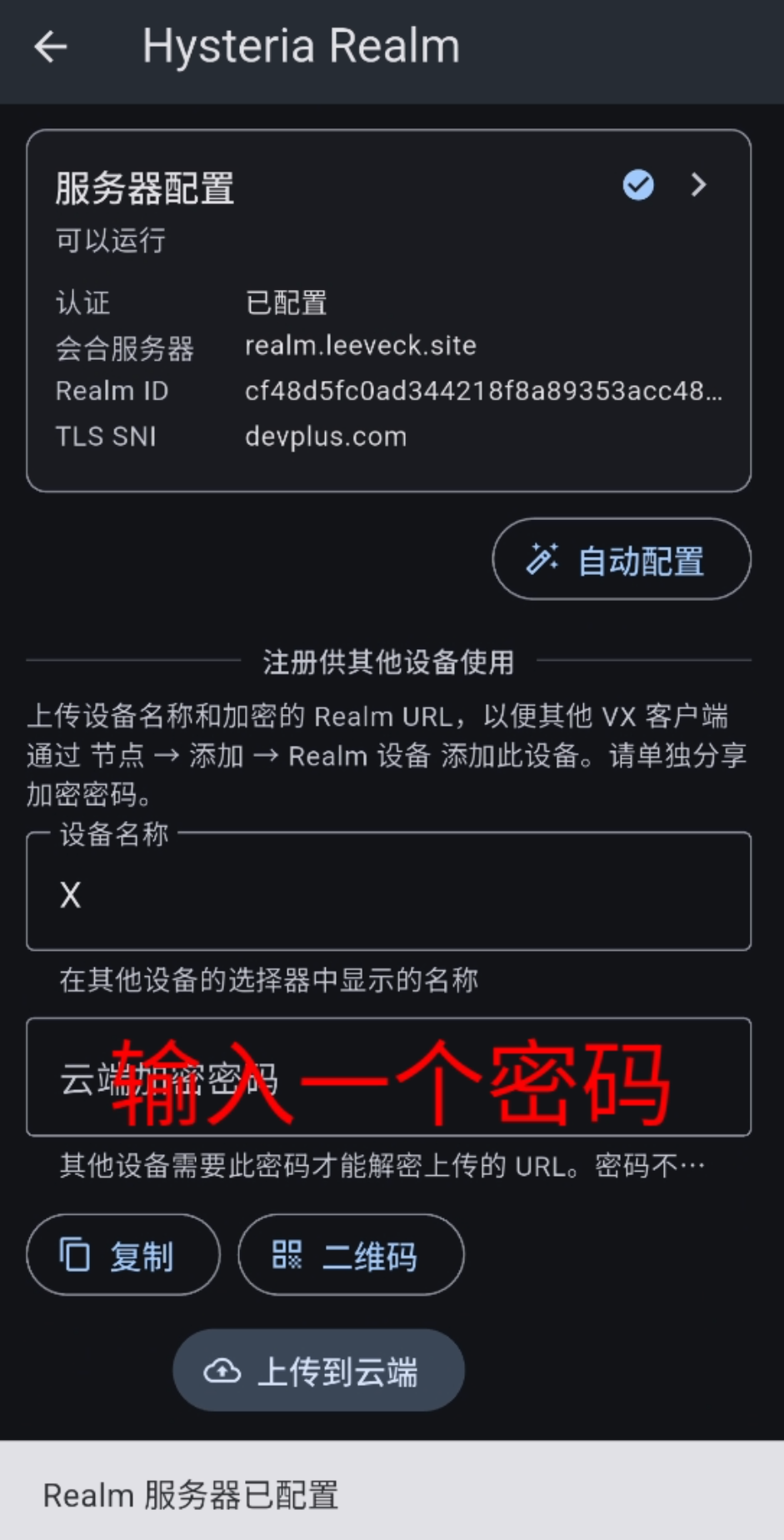 填写云端加密密码